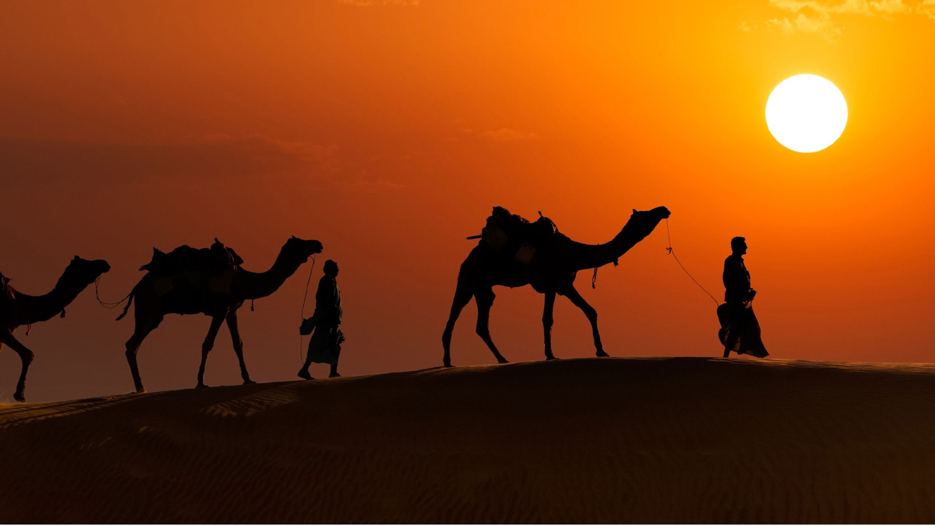 Overnight camel safari Jaisalmer